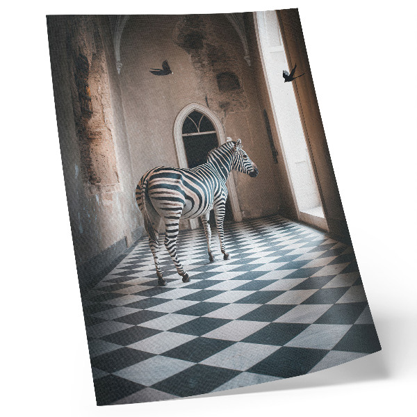 Plakatas Zebra architektūros fone su skraidančiais paukščiais