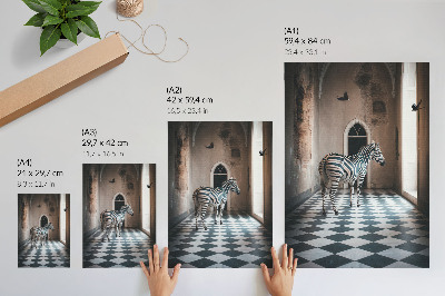 Plakatas Zebra architektūros fone su skraidančiais paukščiais