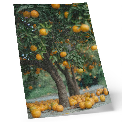Plakatas svetainei Sultingi apelsinai ant medžio žaliame sode