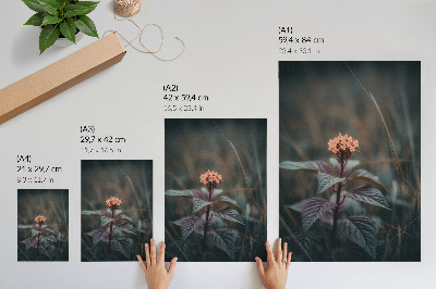Plakatas Augalas su spalvinga gėle žaliame fone