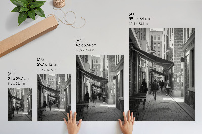 Sieninis plakatas Juodai balti siauros gatvės plytų miesto fasadai