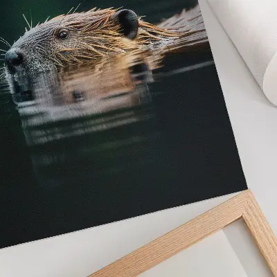 Plakatas svetainei bebras vandenyje, rami ir laukinė gamta