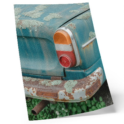 Plakatas svetainei Automobilis aplipęs samanomis, rūdimis, turkio spalva