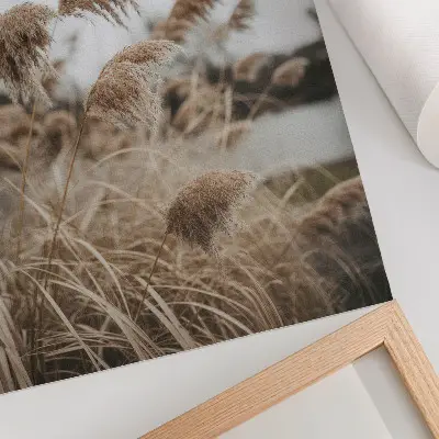 Plakatas subtilūs žolės stiebai rudai pilkame gamtos fone
