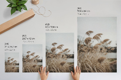 Plakatas Subtilūs žolės peiliukai rudai pilkos gamtos atmosferoje