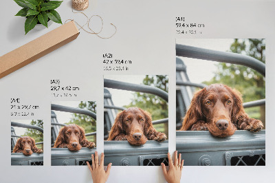 Sieninis plakatas Rudas šuo prie transporto priemonės žali medžiai