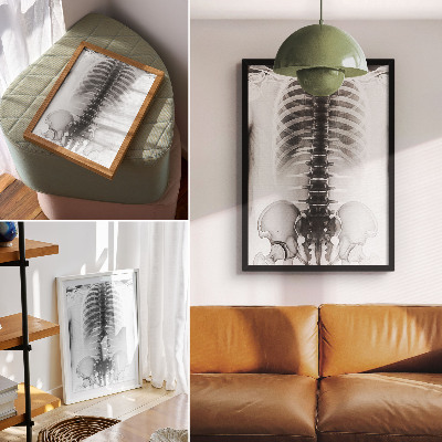 Sieninis plakatas Skeletas juodai baltai