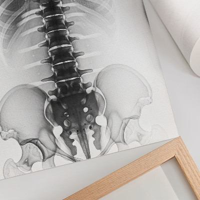 Sieninis plakatas Skeletas juodai baltai