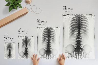 Sieninis plakatas Skeletas juodai baltai