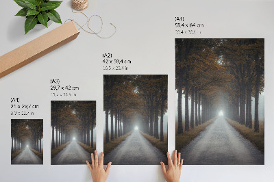 Plakatas Rudens alėjos rūkas simetriška harmoninga kompozicija