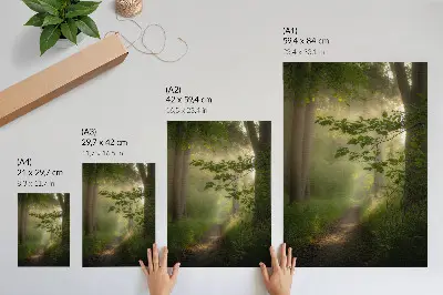 Dekoratyvinis plakatas žali lapai miško take su šviesos spinduliu