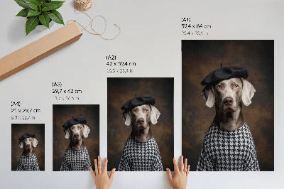 Plakatas svetainei Šuo su beretės raštuota liemene elegantiška