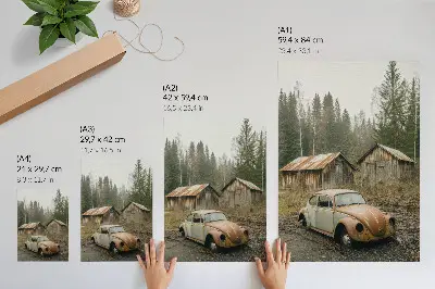 Sieninis plakatas rūdžių automobiliai mediniame sandėliuke žaliame miške
