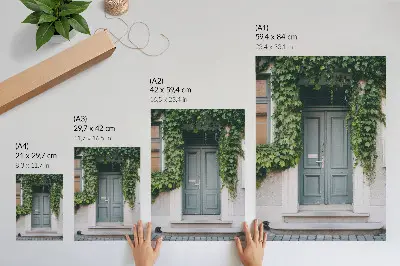 Plakatas svetainei žali vynmedžiai prie pilkų durų harmoninga kompozicija