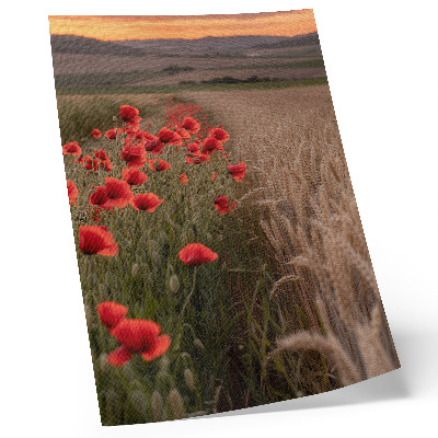 Plakatas svetainei Aguonos saulėlydžio gamta spalvų harmonija