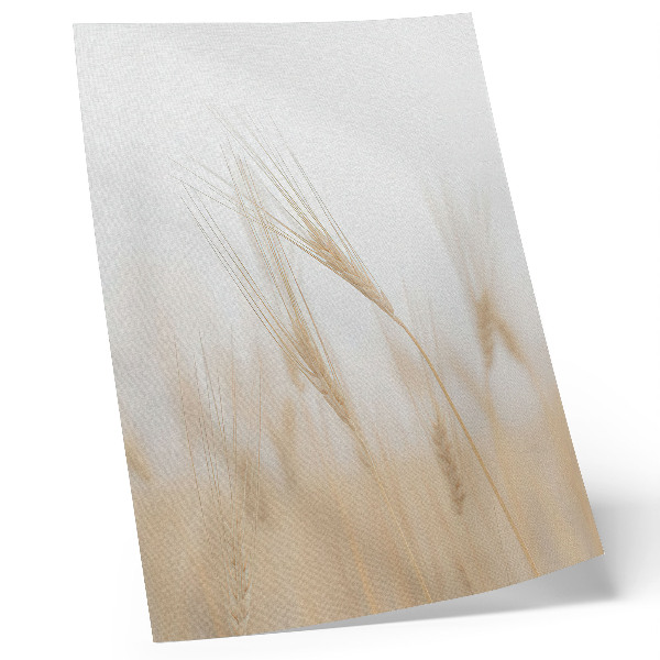 Plakatas Minimalistinis grūdų burbuolių elegancija