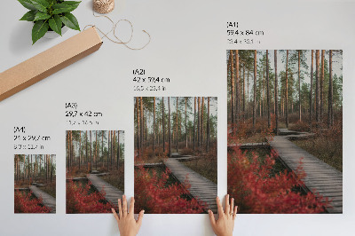 Sieninis plakatas Medinis miško takas, medžiai, rudens spalvos