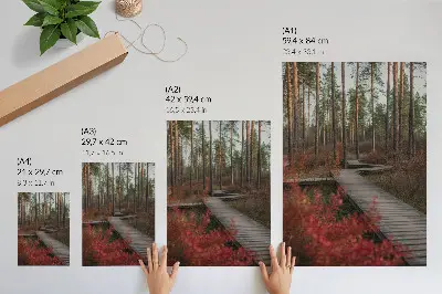 Sieninis plakatas medinis miško takas su rudens spalvų medžiais