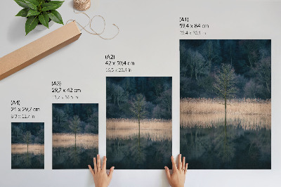 Dekoratyvinis plakatas Pavienio medžio atspindys ežero rūke