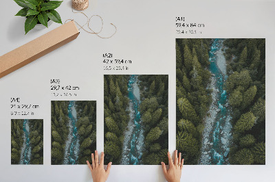Sieninis plakatas Žaliojo miško upės gamtos harmonija