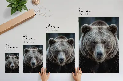 Plakatas realus meškos portretas – ramus ir stiprus jame perteiktas vaizdinys