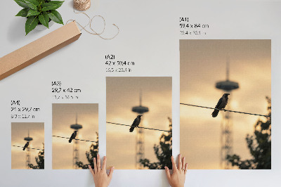 Sieninis plakatas Paukštis ant vielos, vakaro dangus, subtilus fonas
