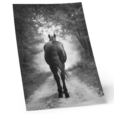 Plakatas svetainei Juodai baltas arklys miško fotografijoje