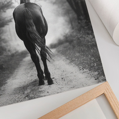 Plakatas svetainei Juodai baltas arklys miško fotografijoje