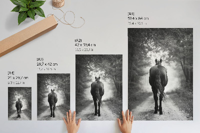Plakatas svetainei Juodai baltas arklys miško fotografijoje