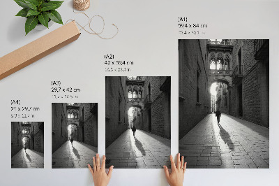 Plakatas svetainei Juodai balta gatvės su architektūra fotografija