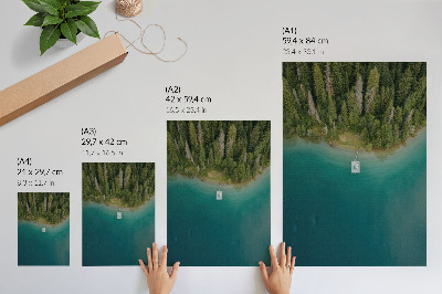 Dekoratyvinis plakatas Miško ežero tiltas žalias mėlynas klimatas