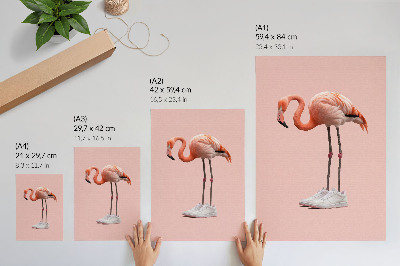 Plakatas Flamingo rožiniai sportiniai bateliai rožiniame fone