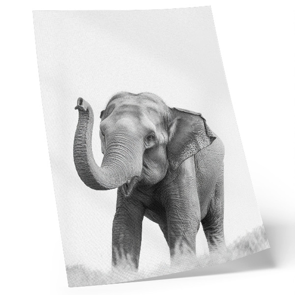 Dekoratyvinis plakatas Monochrominis dramblys su pakeltu straubliu