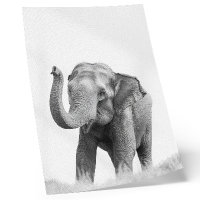 Dekoratyvinis plakatas Monochrominis dramblys su pakeltu straubliu