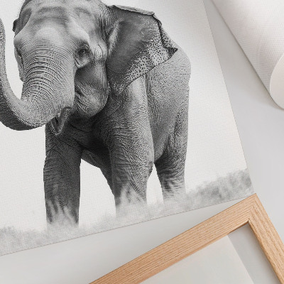 Dekoratyvinis plakatas Monochrominis dramblys su pakeltu straubliu