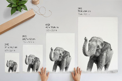 Dekoratyvinis plakatas Monochrominis dramblys su pakeltu straubliu