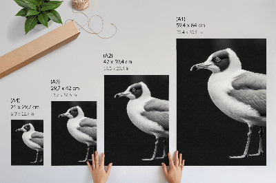 Plakatas svetainei Minimalistinio stiliaus kontrastingas juodai baltas paukštis