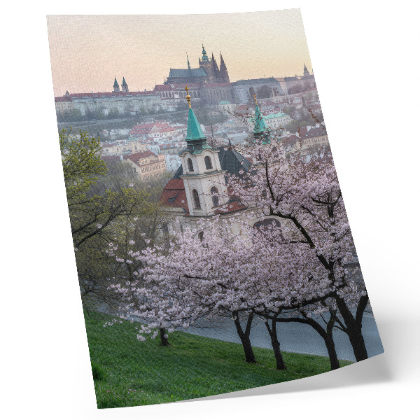 Plakatas svetainei Pavasarį miestas pilnas žydinčių medžių ir bažnyčių bokštų