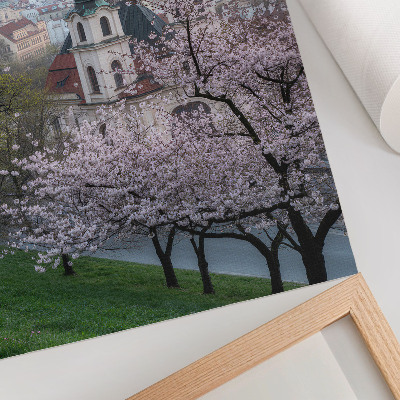 Plakatas svetainei Pavasarį miestas pilnas žydinčių medžių ir bažnyčių bokštų