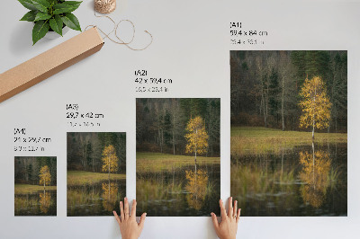 Plakatas svetainei Auksinis medis tamsaus miško ir ežero fone