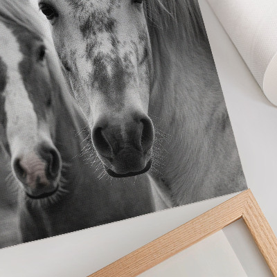 Dekoratyvinis plakatas Arkliai monochrominiame elegantiškame kadre