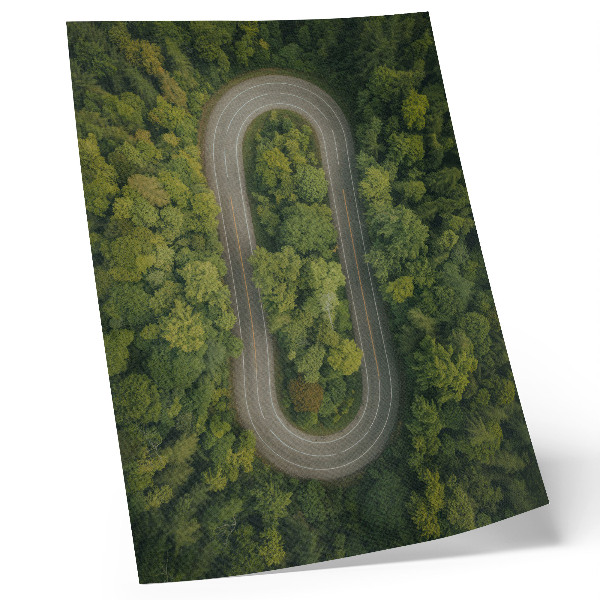 Plakatas svetainei Siauras, vingiuotas kelias per žalią mišką