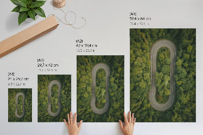 Plakatas svetainei Siauras, vingiuotas kelias per žalią mišką