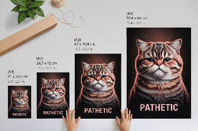 Plakatas Katės su išskirtiniu kailiu ir giliu žvilgsniu portretas