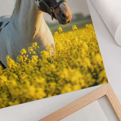 Sieninis plakatas Elegantiškas arklys pavasario lauke, pilname gėlių