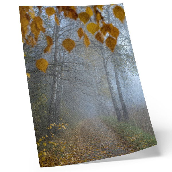 Plakatas svetainei Rūkotas rudens miškas beržų geltoni lapai