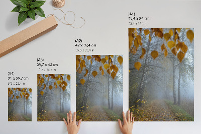 Plakatas svetainei Rūkotas rudens miškas beržų geltoni lapai