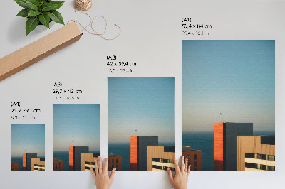 Plakatas svetainei Modernumas, jūra, pastatai, paukštis, platybė, dangus