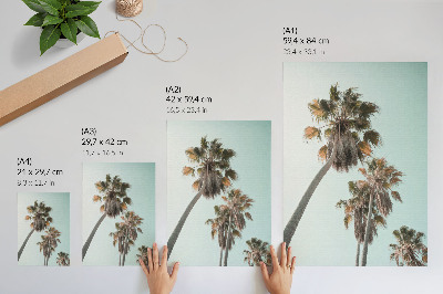 Plakatas Palmės subtilus mėlynas egzotiškas dangus
