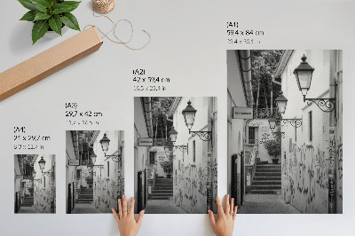 Sieninis plakatas Juodai balta gatvė su grafiti ir gatvės žibintais
